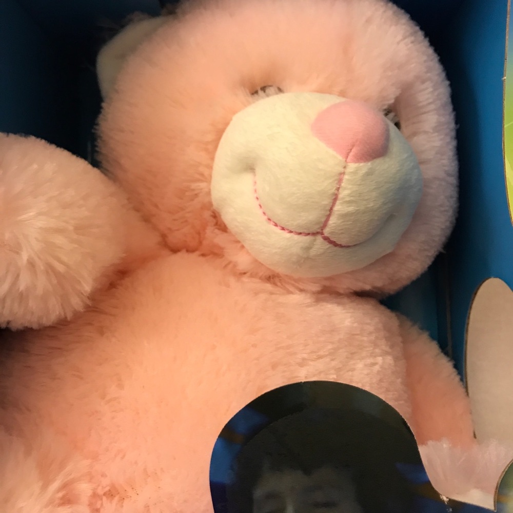 Bear lullaby Lights Glow